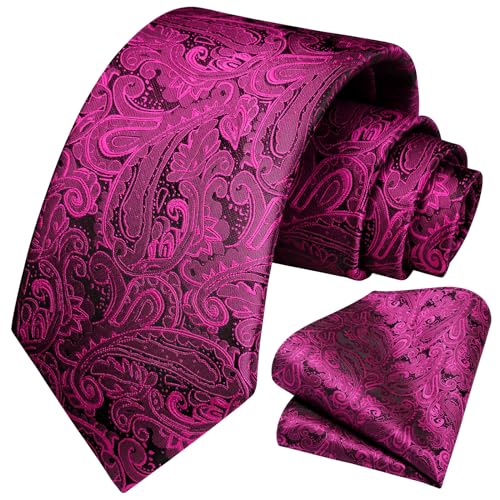 Image of HISDERN Ties for Men Paisley Tie and Pocket Square Woven Classic Floral Mens Ties Handkerchief Set Wedding Party Necktie
