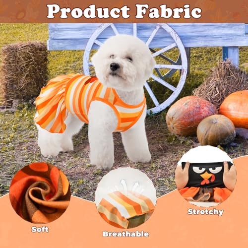 Robe de Thanksgiving pour chien et chat taille M sans irritation - 4