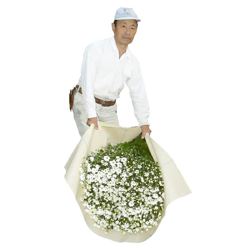 収穫袋 ベンリークロス 100枚 中古 ベンリ―クロス野菜 収穫袋 ベンリークロス 100枚 中古 ベンリ―クロス野菜