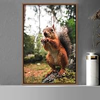 Framed Canvas Wall Art Squirrel Animals Fun Living Room Multicolor Photography Rustic Squirrel - 16x24 inches
