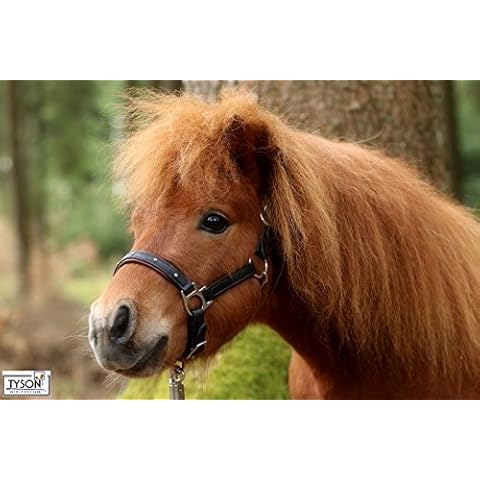 Lederhalfter Knuffi Minishetty Mini Shetty Minipony Schwarz Cover