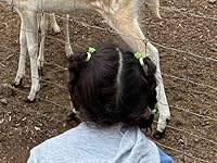 Review Image by Vanessa Vanessa