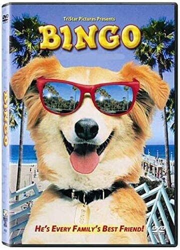 Bingo [Francia] [DVD]