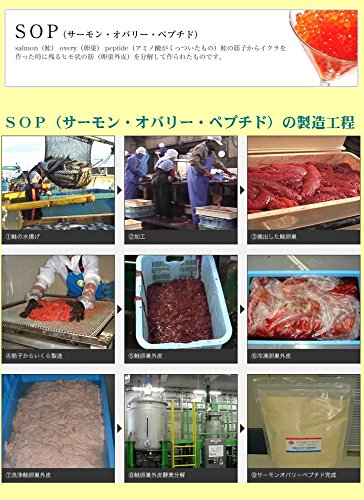 Amazon | SOP（サーモン・オバリー・ペプチド） 120カプセル ×お 