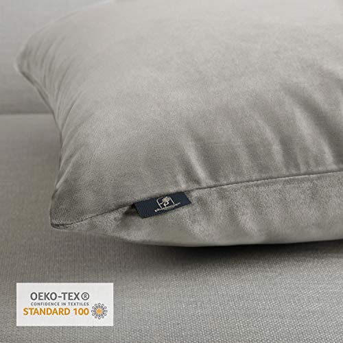 Phantoscope Pack of 2 Velvet Decorative Throw Decorative Pillow Cover Soft Solid Square Cushion Case for Couch Mist Grey 22 x 22 inches 55 x 55 cm