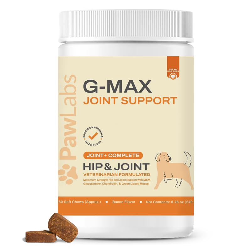 Pawlabs G-Max Joint Support for Dogs - Maximum Strength Hip & Joint Supplement with Glucosamine Chondroitin MSM etc - Relieves Arthritis Pain & Hip Dysplasia - Bacon Flavor 60 Chews