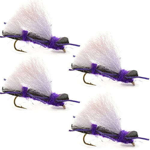 The Fly Fishing Place Chubby Chernobyl Ant Purple Foam Body Trout Fly Fishing