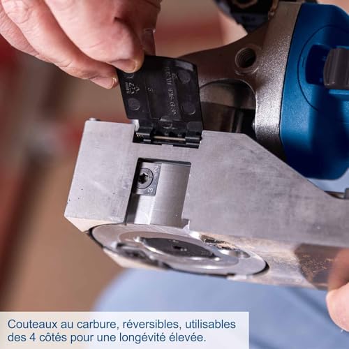 Scheppach Rabot fraiseuse à peinture 720W LFR720 | largeur de fraisage 80 mm - 10 000 tr/min - profondeur de fraisage 0-0,3 mm - 4 lames - élimine peintures et vernis