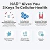 HPN Supplements NAD3 NAD+ Booster | Value Size 2 Month Supply | Clinically Proven & Independently Tested - Metabolic Repair | 311 mg per Serving - 120 Capsules