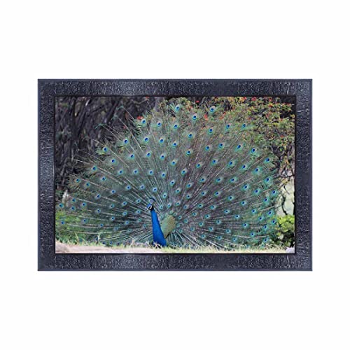 pnf Poster And Frames Peacock Wall Painting With Acrylic Sheet | For Living Room, Bedroom | Home Decoration Item | Best Gifting Option (10 * 14inch,Multicolour,Synthetic) 19669