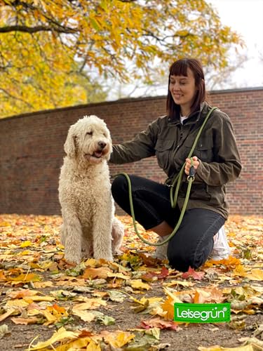 Leisegrün Verstellbare Hundeleine 3m - Robuste Nylon Doppelleine für mittelgroße bis große Hunde, 200kg Zugkraft, 2 Karabiner - Olivgrün