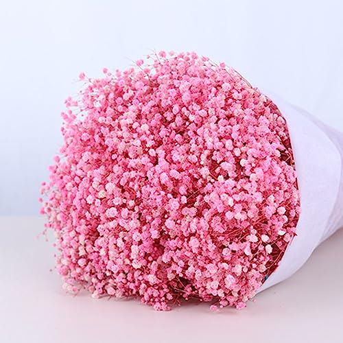 Ramo de Flores Secas Gypsophila 17.2 Pulgadas miniatura 5