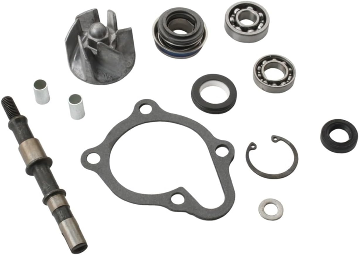 Water Pump Repair Kit For E250 D250 250cc 300cc 4T 100110460