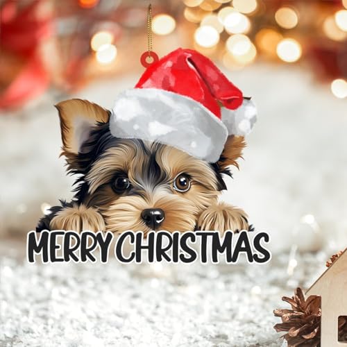 Décoration de Noël 2D en acrylique avec chapeau de Père Noël Yorkshire Terrier - Décoration pour sapin de Noël, souvenir de Noël, Nouvel An, cadeau d'anniversaire pour chien, maman, papa
