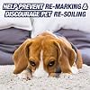 Resolve Ultra Pet Stain & Odor Remover Spray, 32oz (Pack of 6),RED,32.0 fluid_ounces,2.4 pounds,(99305CT)