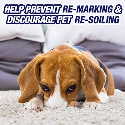 Resolve Ultra Pet Stain & Odor Remover Spray, 32oz (Pack of 6),RED,32.0 fluid_ounces,2.4 pounds,(99305CT)