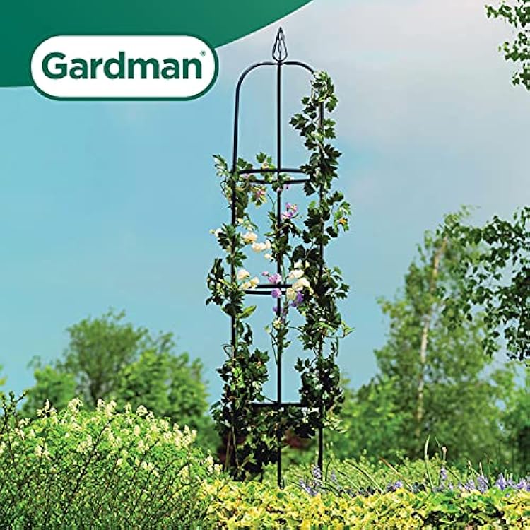 Gardman Decorative Easy Garden Obelisk R07701 Climbing Plant Metal Support. 75 Height x 13 Diameter, Black