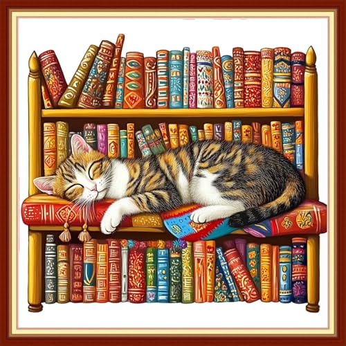 Image of Foxhool Beginners Cross Stitch Kits Stamped Full Range of Embroidery Kits for Adults DIY Cross Stitches kit Embroidery Patterns for Needlepoint kit-Lazy cat Sleeping on the Bookshelf 18x18 inch