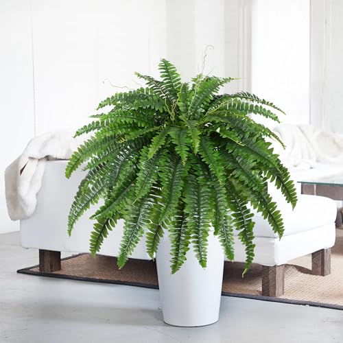 Dkaltm Artificial Boston Fern Bush- Set of 2 Large Artificial Ferns for Outdoors, 45Inch Large Faux Ferns, Suitable for Office & Living Room Decor, 55Branches for Each Bouquet Dkaltm Artificial Boston Fern Bush- Set of 2 Large Artificial Ferns for Outdoors, 45Inch Large Faux Ferns, Suitable for Office & Living Room Decor, 55Branches for Each Bouquet