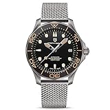 Pagani Design Automatic Diving Watches for Men Stainless Steel Band, Ceramic Bezel, Sapphire Curved...