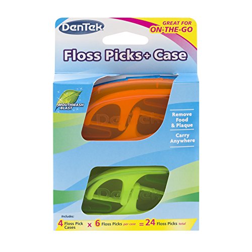 Dentek Floss Picks + Case For On-The-Go Mint, 24.0Ea #TOP16