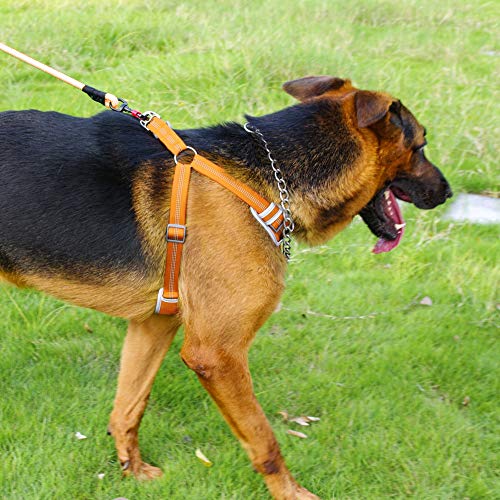 ThinkPet Escape-Proof Harness Leash Set - Padded Breathable Reflective Vest Harness, Reflective Dog