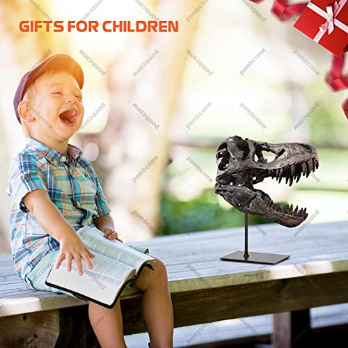 T Rex Skull, Dinosaur Bones Resin Replica With Bracket Lifelike Tyrannosaurus Teaching Skeleton Statue Model For Home Office Decor Bookshelf Desktop Shelf Display, Holiday Birthday Gift For Adults #TOP6