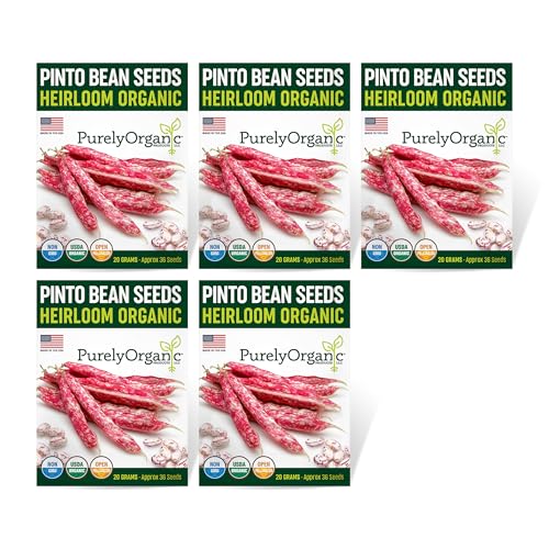 Organic Pinto Bean Seeds by SimplyGro