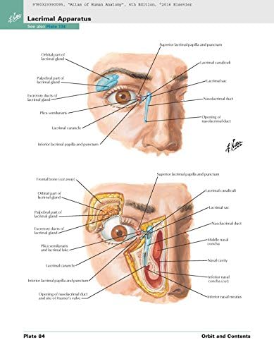 Atlas of Human Anatomy: Including Student Consult Interactive ...