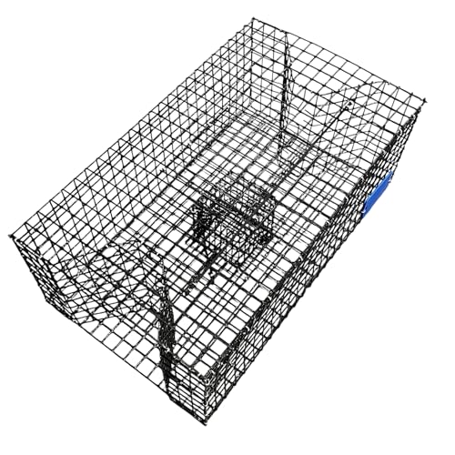 Pinfish Trap Made with Coated Wire mesh Heavy Duty Two Entrance. Meet Regulation Made in USA (24X14X9)