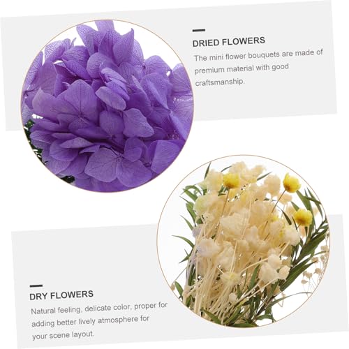 Ramos Mini Flores Secas Decorativas para Jarrón miniatura 4