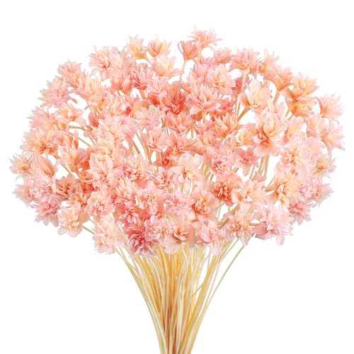 100 piezas Mini flores secas decorativas brasileñas
