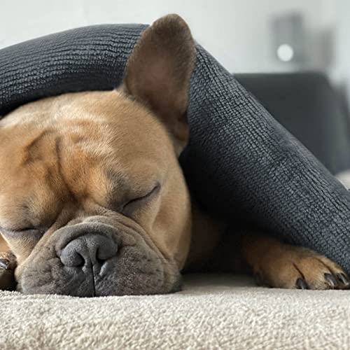 Pethur Waterproof Dog Blanket For Small Dog, Small Cat Blanket Washable For Couch Protection, Sherpa Fleece Puppy Blanket Reversible, Dark Gray, S #TOP4