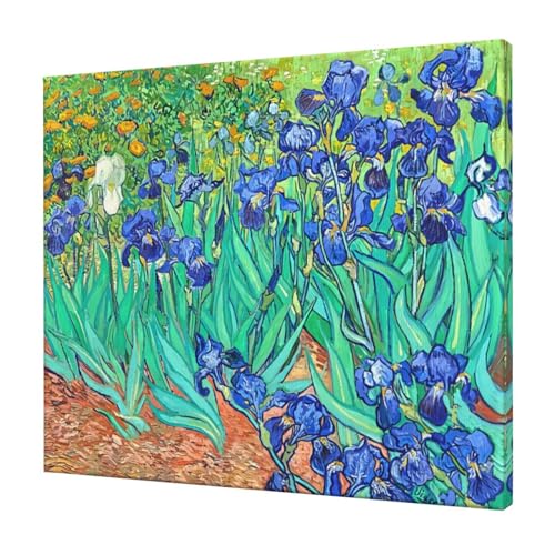 Sbz GsACXt EōłLȌ|p rOAQA_CjO̕ǏɍœK Aؘgt̊i50*60*1.6cm B\ɂ́sACXtsЂ܂tstsA[h̉ԁtsA̐Qtsԍ炭A[hts[k̐t