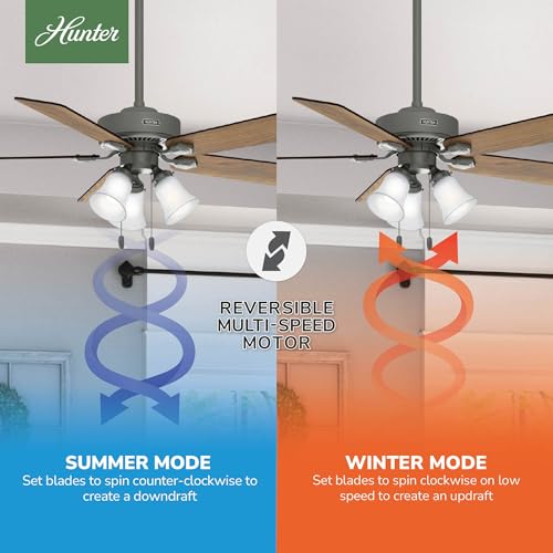Image of Hunter Swanson, Indoor, Ceiling Fan, with LED Lights, 52 inch, Matte Silver
