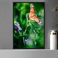 Framed Canvas Wall Art Butterfly Expressive Farmhouse/Country Home Office Insects Lake Multicolor Photography - 16x24 inches