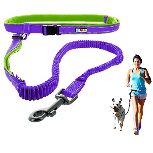 PAWTITAS Reflective Padded Anti-Shock Running Dog Leash, Purple