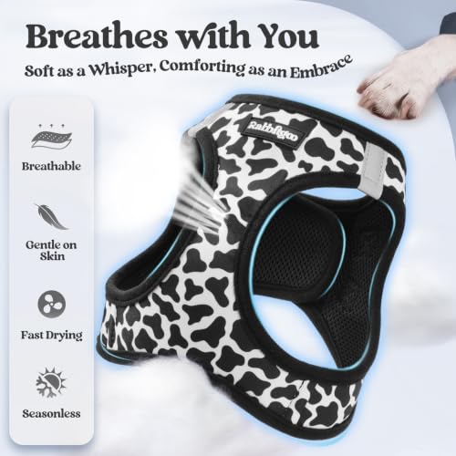 Image of rabbitgoo Dog Harness Small Sized and Leash Set, Step-in Puppy Pet Vest