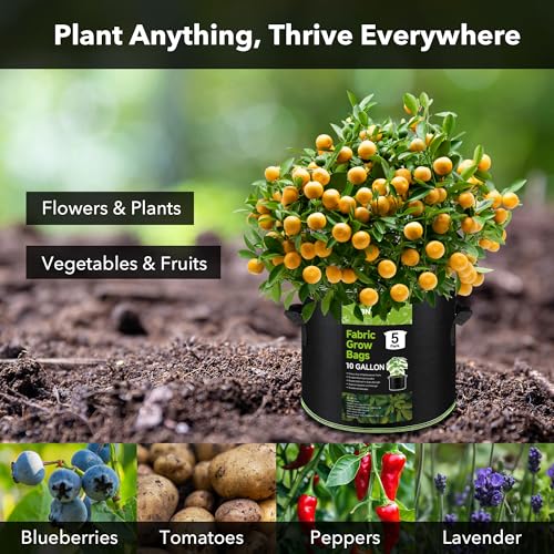 Image of BN-LINK 5-Pack 10 Gallon Grow Bags, Heavy Duty Aeration Fabric Pots with Handles, Thickened Nonwoven Plant Bags for Vegetables, Flowers, Fruits