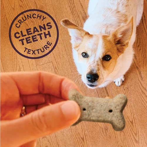 Image of Old Mother Hubbard Wellness P-Nuttier Dog Biscuits, Natural, Training Treats, Peanut Butter Flavor, Small Size, (20 Pound Bag)