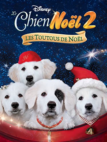 Les Chiots Noël, la relève est arrivée
