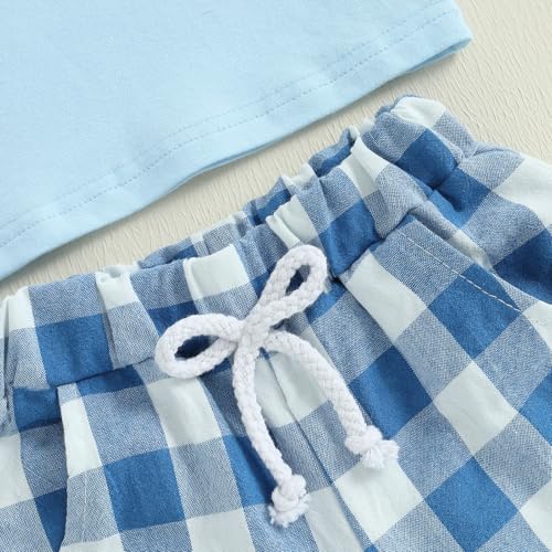 Image of Toddler Baby Boy Easter Rabbit Outfit Short Sleeve Bunny Carrot Smocked T-shirt Elastic Waist Shorts Summer Clothes