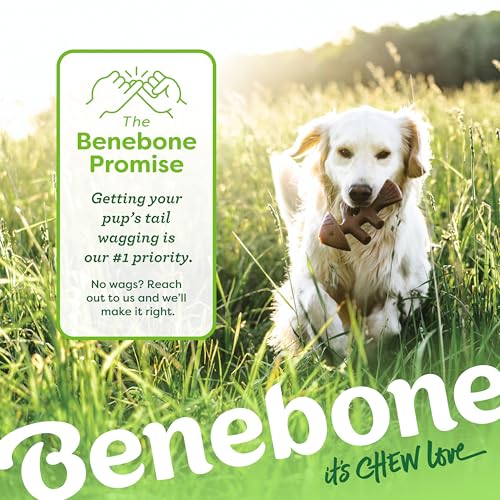 Benebone Pacote com 2 brinquedos duráveis de espinha de peixe/espinha de sorriso, peixe real, bacon