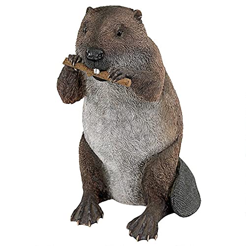 How far is beaver dam from me