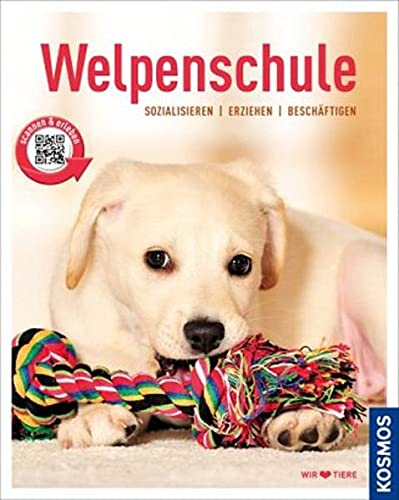 Welpenschule: Sozialisieren, Erziehen, Beschäftigen (Mein Tier)