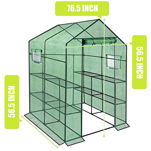 Reinforced Walk-in Greenhouse with Window,Plant Gardening Green House 2 Tiers and 8 Shelves,L56.5 x W56.5 x H76.5
