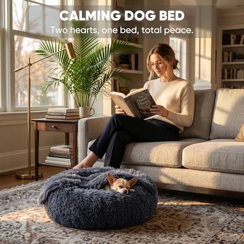 Image of Himax Dog Beds for Small Dogs, Donut Dogs Beds with Blanket Attached, Calming Dog Bed Washable (20 inch /26 inch /35 inch) Grey