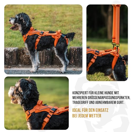 OneTigris Hundegeschirr, Hopper Kleines Unterstützung Geschirr Einstellbares Hebegeschirr mit 2 Griffen für Unterstützung und Rehabilitation Geeignet für Kleiner Hund Orange S