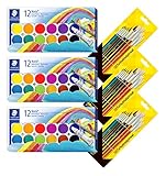 Photo Gallery staedtler noris club 888 nc12 - set di 12 vasi di colore intercambiabili (3, scatola di colori 12 colori + pennello) Photo Gallery staedtler noris club 888 nc12 - set di 12 vasi di colore intercambiabili (3, scatola di colori 12 colori + pennello)