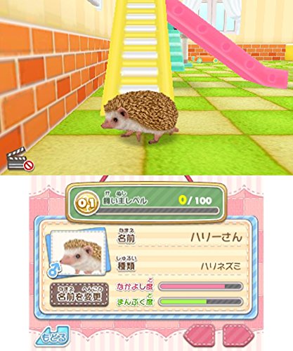 Amazon | かわいいペットとくらそう! わんニャン&ミニミニアニマル